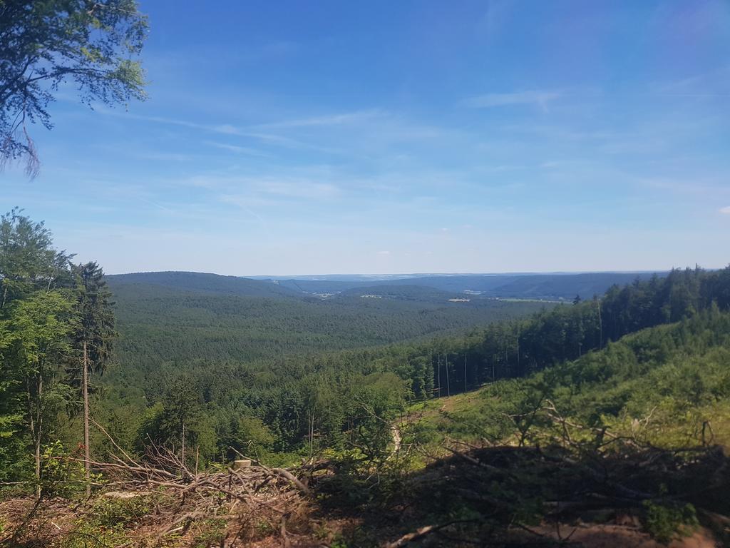 Landgasthof Waldfrieden Hostal Wildensee Exterior foto